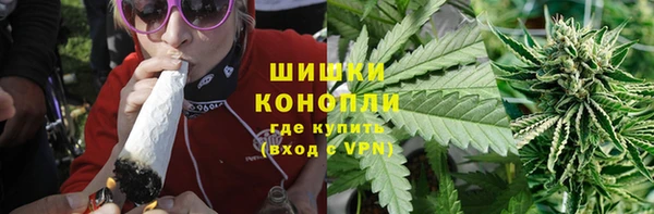 сатива Касимов