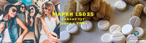 сатива Касимов