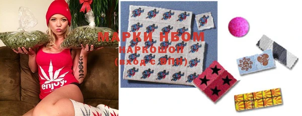 сатива Касимов