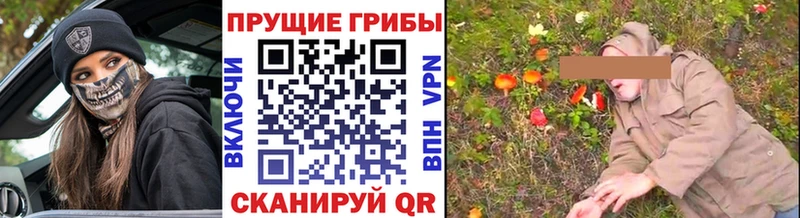 Купить закладки  Сунжа  Псилоцибиновые грибы Cubensis 