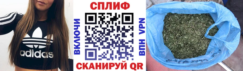 Каннабис MAZAR  Купить где  Сунжа 